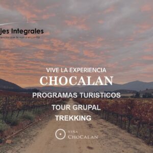 VIÑA CHOCALAN