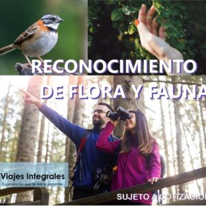RECONOCIMIENTO DE FLORA Y FAUNA