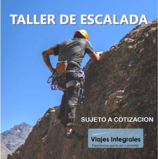 TALLER DE ESCALADA