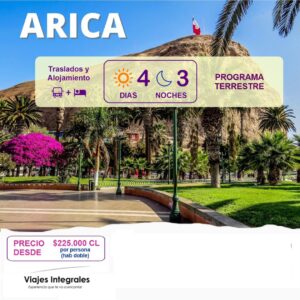 ARICA (Terrestre)