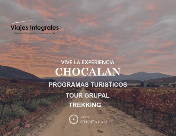 VIÑA CHOCALAN
