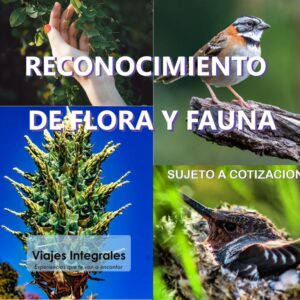 RECONOCIMIENTO DE FLORA Y FAUNA